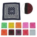 Paisley Cowboy Bandanna