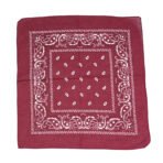 Paisley Cowboy Bandanna - Image 2