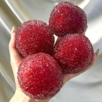 Realistic Bayberry Squishy Pull And Stretch Toy - Image 3