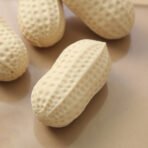 Realistic Peanut Fidget Toy For Stress Relief - Image 4